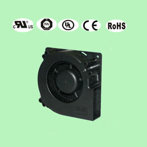 12032榴莲视频APP色版