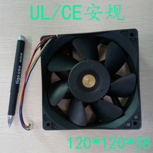 12038高风量榴莲视频污下载